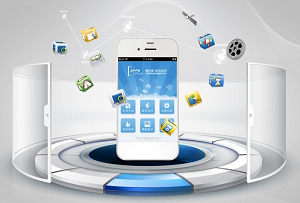 禾高網(wǎng)絡 專業(yè)APP與網(wǎng)絡技術開發(fā)服務提供者