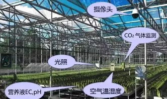 前沿探索 網(wǎng)絡(luò)技術(shù)驅(qū)動(dòng)下現(xiàn)代智慧農(nóng)業(yè)發(fā)展的五大趨勢(shì)